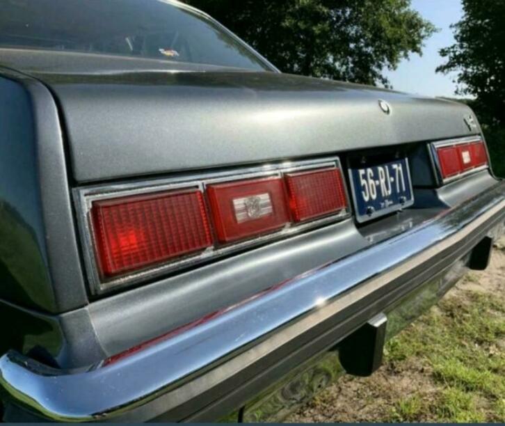 Chevrolet Nova 1977 grijs