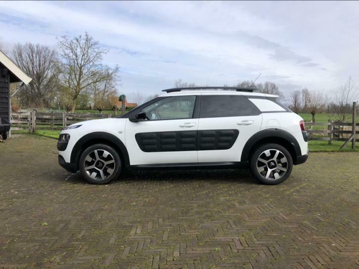 Citroen C4 Cactus 1.2 Turbo 110pk Shine 17 Navigatie Camera