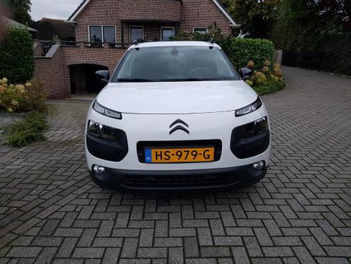 Citroen C4 Cactus 1.6 Blue HDI 100 Airdream 2015 Wit Panodak