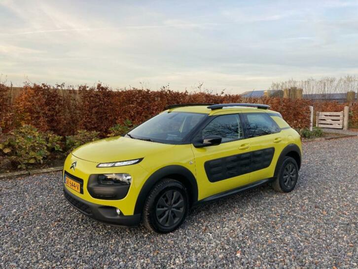 Citroen C4 Cactus 1.6 Blue HDi 100 Airdream Business 2015