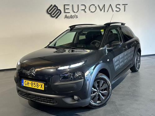 Citroen C4 Cactus 1.6 BlueHDi Business Navi Camera Airco Pdc