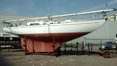 Classic Alpa Maica A11