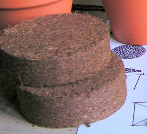 cocos aarde discs 825 stuks