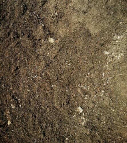 Compost bemesting grondverbetering zwarte grond teelaarde 