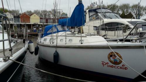 Contest 33 met bijboot