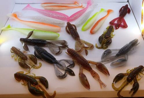 Creature baits en shad deal Easy shiner, crazy flapper