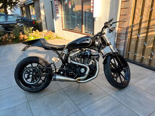 Custom build (door HD Dealer)  Harley-Davidson Sportster