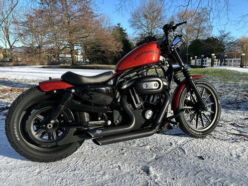 Custom Harley Davidson Sportster 883 Iron  Video