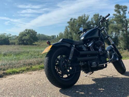 Custom Harley Davidson Sportster XL 1200C