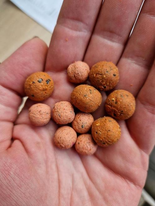 De beste boilies