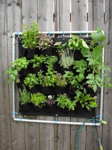 De eetbare wand kruidentuin tuin terras decoratie plantenpot