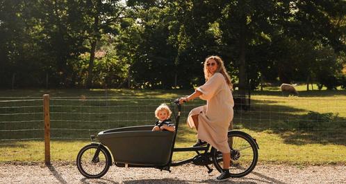 De originele Dolly Bakfiets n 4499 mt Regentent