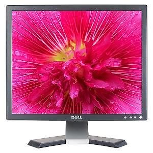 Dell E196FPF Monitor, 19034 LCD beeldscherm 