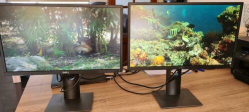 Dell monitoren P2217H 22 inch  50,00 per stuk