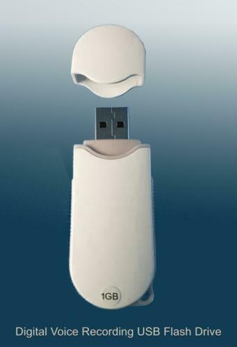 Digital Voice Recording USB Flash Drive