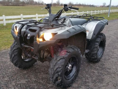 Dikke Yamaha Grizzly 700 Special Edition 