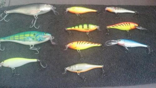 Diverse rapala pluggen