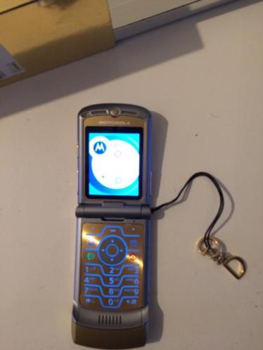 Dolce Gabana Motorola v31