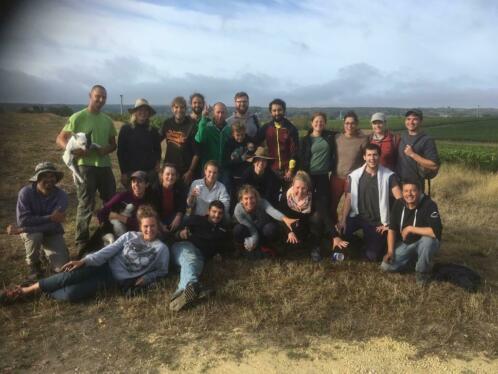 Druiven plukken in Frankrijk