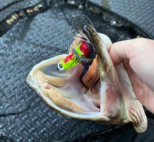 Dubbele Magnum Variegated TwoTone Dragon Tail snoekstreamers