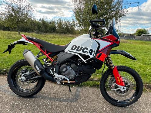 Ducati Desert X Rally