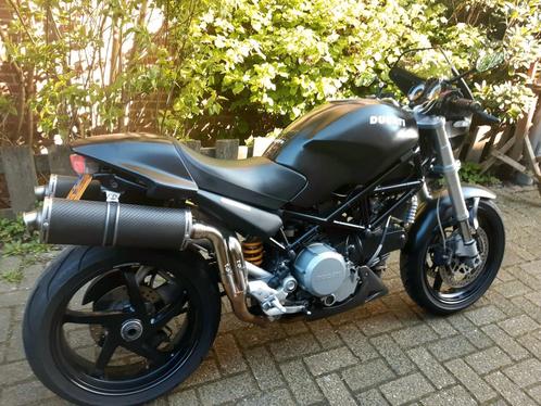 Ducati monster