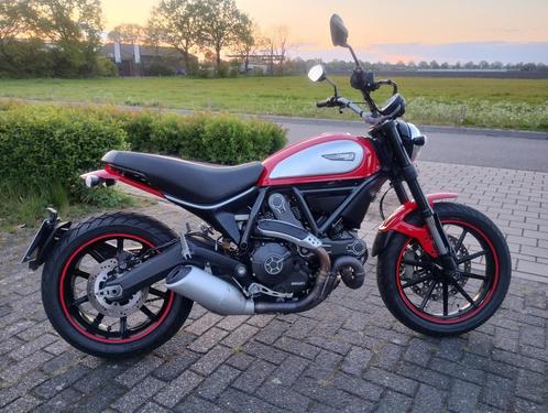 Ducati monster 800 scrambler icon 2015 desmo naked bike