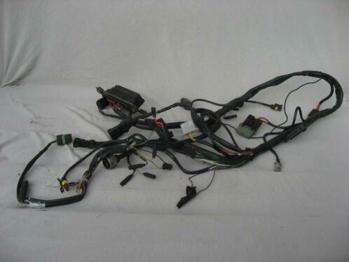 Ducati Monster Kabelboom