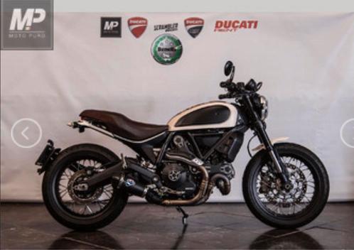 Ducati - Scrambler Icon - Gold Special - 800 cc - 2017 -