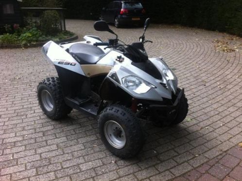 E-Ton Vector 250 met kenteken - Rijbewijs B - Degelijke quad