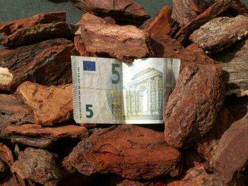 Echte Grove Franse Boomschors