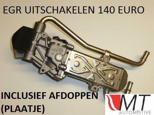 EGR Uitschakelen 1.2 TDI 1.2TDI P0403 P0405 Storing Polo 6R