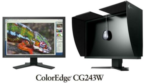 EIZO CG243W wide gamut 24034 monitor