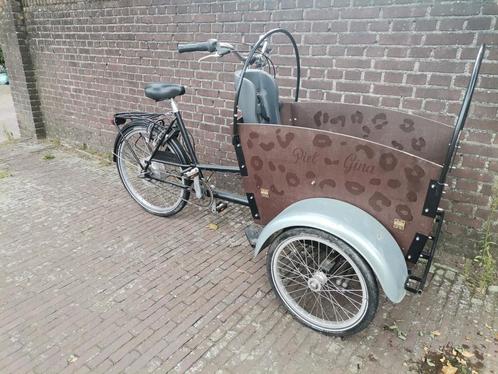 Elektrische bakfiets