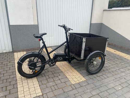 Elektrische bakfiets bakfietsen CargoKId Cargo bike