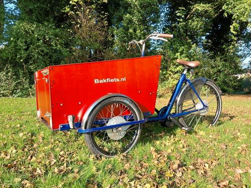 Elektrische Bakfiets NL trike