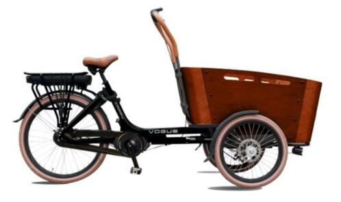 Elektrische Vogue Carry bakfiets middenmotor bakfietsen Bud