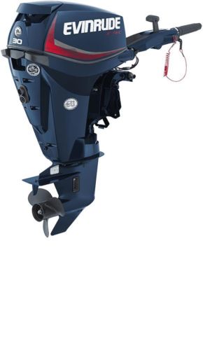 Evinrude E30DTEL In-line 2-cilinder E-TEC directe injectie