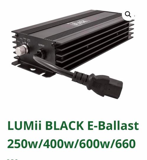 Evsa vsa Travo Lumii black 250400600660 watt 60 stuks