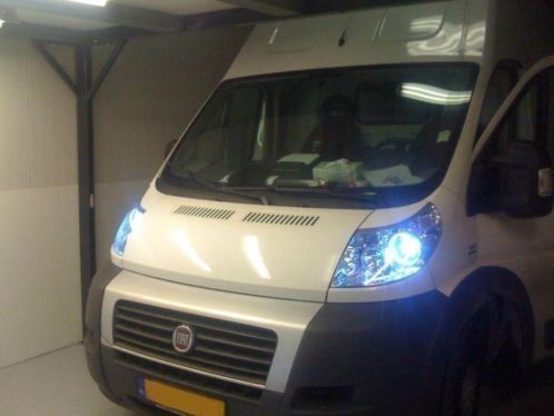 Fiat D2s D2r Xenon Lamp Actie Prijs 1 jaar Garantie