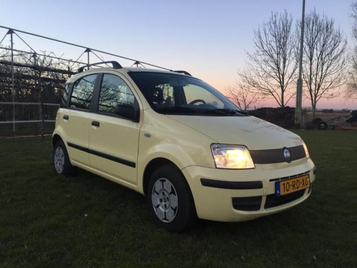 Fiat Panda 1.1 Active Plus (H5) 82.017 km BJ 2005 Geel 
