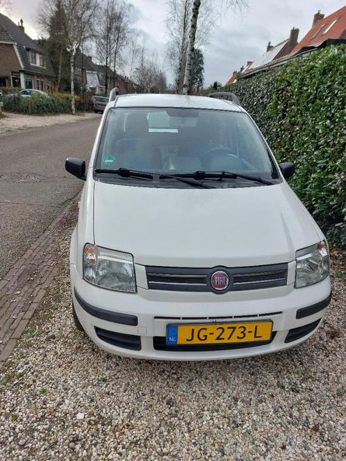 Fiat Panda 1.2 2009 Wit