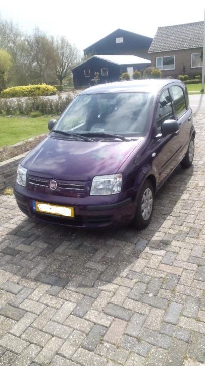 Fiat Panda 1.2 2010 Paars