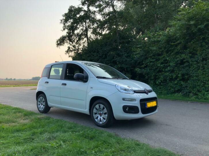 Fiat Panda 1.2 Edizione Cool