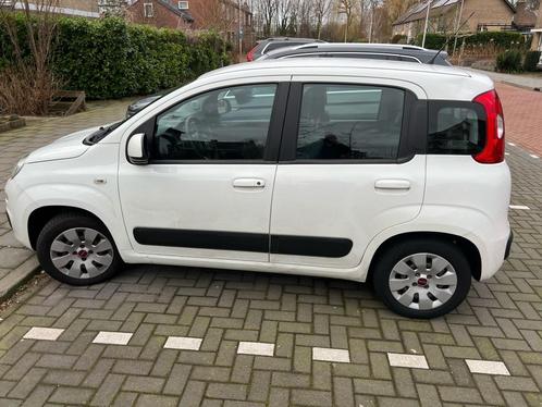 Fiat Panda Twinair Turbo 80PK Dualogic 2017 Wit