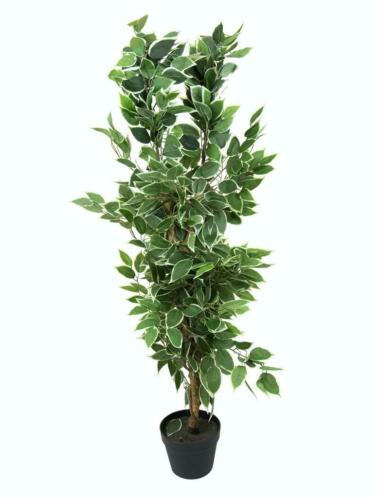 Ficus kunstplant
