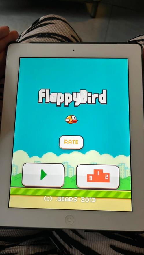 Flappy bird op iPad 2012
