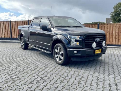 FORD F-150 5.0 V8 PANODAK 3500kg Trekgewicht