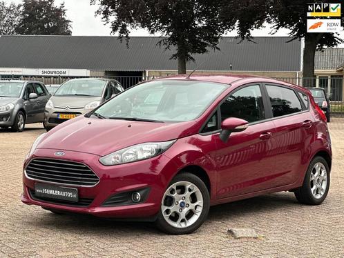 Ford Fiesta 1.0 EcoBoost Titanium 5 DRS NAVI STOELVERW. PDC