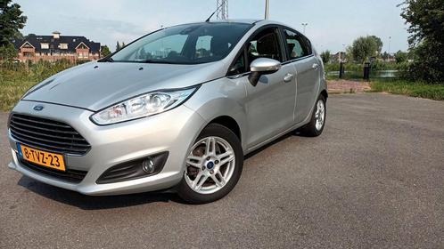 Ford Fiesta 1.0 Titanium 59KW80PK 5D 2014 Grijs